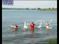 АвеоКлуб