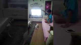 Mert Ve Arkadaş Garfiyit