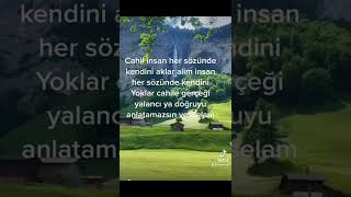 Cahil Insan Her Sözünde Kendini Aklar Alim Insan Her Sözünde Kendini Yoklar Cahile Gerçeği Yalancı