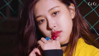 Ceci X Rose - Young & Beauty