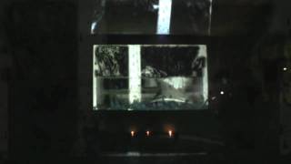 Morphee - Neon with Aris Michalopoulos - 1.12.2009 Athens
