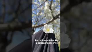 Jilbab Untuk Kemuliaan Wanita