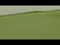 Derek Fathauer’s birdie bomb on No. 15 at Honda