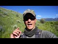 Fly Fishing Yellowstone National Park & the Surrounding Area (Ep. 2 of 4)