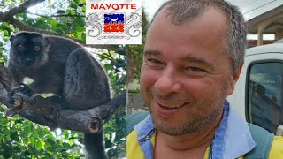 La Pas Pe Insula Mayotte În Căutarea Lemurienilor- Insula Cu Prețuri De Europa Și Condiții De Africa