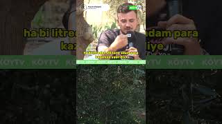 Gizli Dolandırıcılık