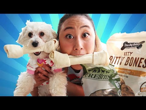 EATING PUPPY SNACKS WITH MY PUPPY CHALLENGE!!