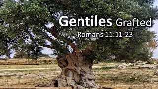 Gentiles Grafted In (Romans 11:11-23)