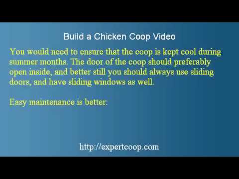 Build a Chicken Coop Review – Reliable Free Advice