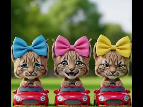 Las gatti veloci
