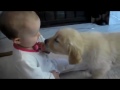 FUNNY VIDEOS - Funny Fails, Funny Pranks and Funny vines | People are Awesome