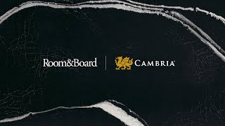 Room & Board Cambria