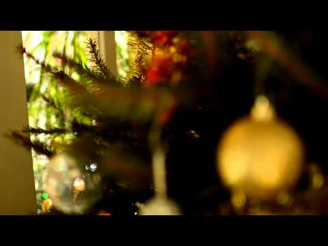 Merry Christmas (Nikon D3200)