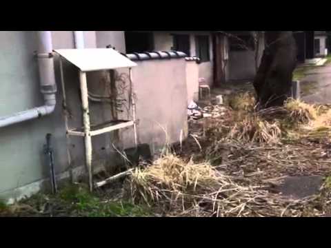 加賀・山代温泉「放置された萬松園の廃業旅館」