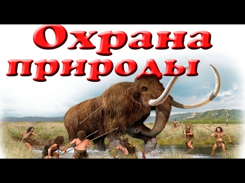 Экологический мультфильм на конкурс Экологический мультфильм на конкурс