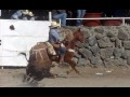 TOROS MATA CABALLOS 21 DE JULIO LIENZO LA GUADALUPANA APASEO DE EL GRANDE GTO