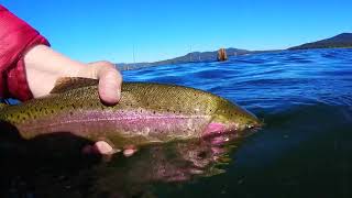 Dave Scadden's Detonator Lo Pro Tricked out for Big Bows...Killer Footage!!!