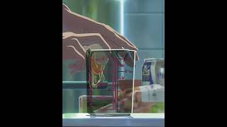Animex - Garden Of Words