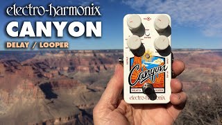 Electro-Harmonix Canyon Delay and Looper Pedal