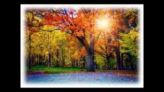 Finding Strength in the Saints, November 15, 2020