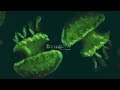 Danny Ocean Dembow Official Audio Danny Ocean Dembow Official Audio