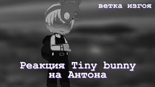 Реакция Tiny bunny на Антона🐰 (зверей)/ Ветка Изгоя^ Зайди в описание.