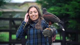 English Style Driven Pheasant Shoot & Falconry Experience Royal Outfitters UK Interview
