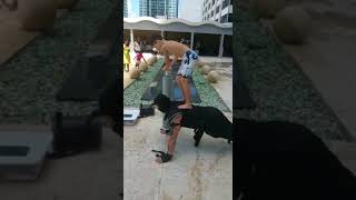 Ninja Doing Pushups With Kids On Back