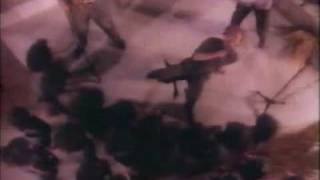 Watch Oingo Boingo Cool City video