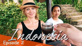 Drinking Cat Poop Coffee Bali Indonesia Vlog Se01 Ep02