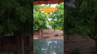 Dasi Vlog