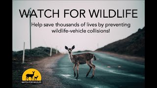 Watch for Wildlife national campaign video; www.WatchForWildlife.org
