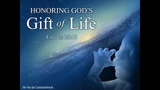 "Honoring God's Gift of Life" (Ray Menegus) - 2/24/2019