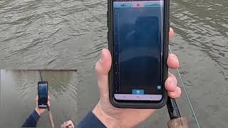 iBobber basic functions, features-Trying mine out on a flooded lake