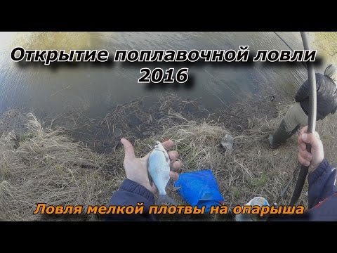 как угадать погоду при рыбалке как угадать погоду при рыбалке