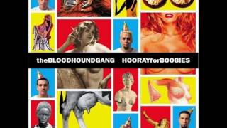Watch Bloodhound Gang Three Point One Four video