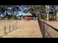 Remote Control Car versus Beagle Pack,  Round 1