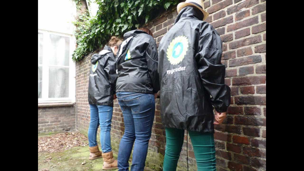 plassende