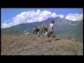 The Baby Elephant Walk from "Hatari"  by Henry Mancini