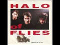 Halo Of Flies  "Death Of A Fly" • Amphetamine Reptile Records