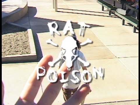 Rat Poison Shane Auckland Teaser