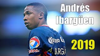 kRlItRbFJkQ Video Image