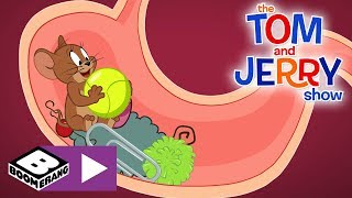 The Tom and Jerry Show | Tom, Jerry And The Ball | Boomerang UK 🇬🇧