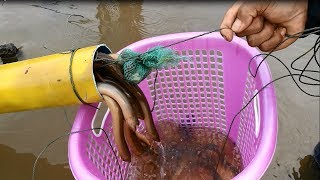 New Technique Of Catching - Believe This Fishing? Unique Fish Trapping System Country Fish (part 3)