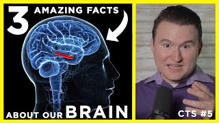 Do we ONLY use 10% of our BRAINS?: 3 AMAZING FACTS on Brain Design | Current Topics in Science E5