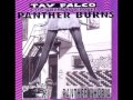 Tav Falco and the Unapproachable Panther Burns - Panther Phobia Manifesto!