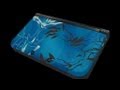 Pokemon Y - Special Edition Trailer