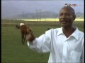 Fandishe Mullata (Oromo Music) - Sumaani Booya