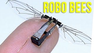 WS - Robot Bees Could Save the Earth?! ft. Steve Greene