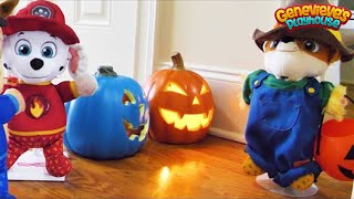 Paw Patrol Trick Or Treat And Haunted House Halloween Videos For Kids!